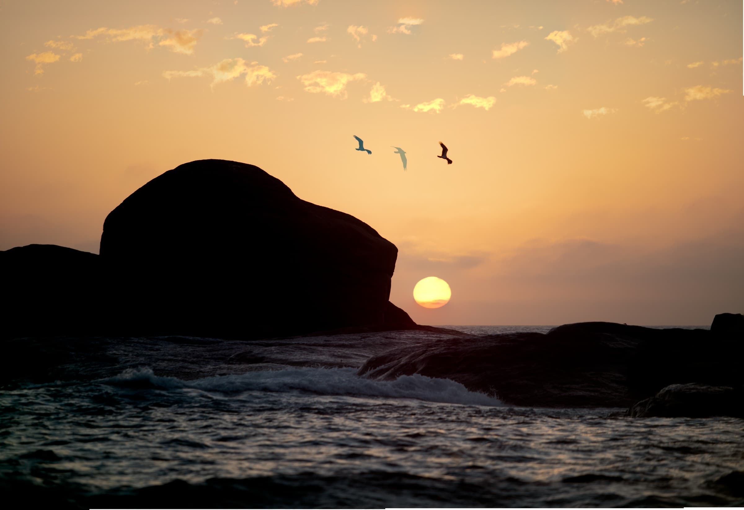 Sunset flight
